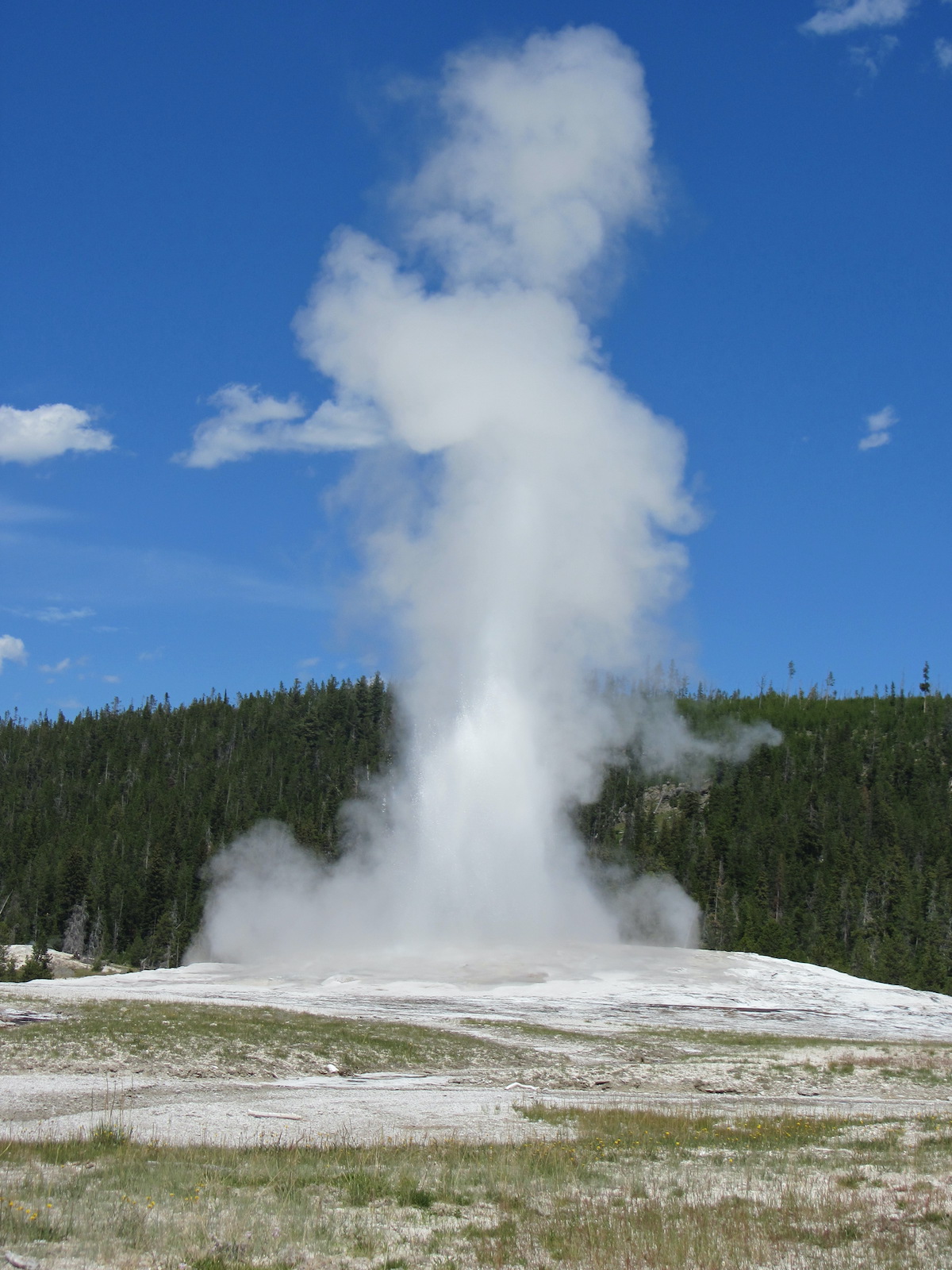 old faithful geyser at Yellowstone