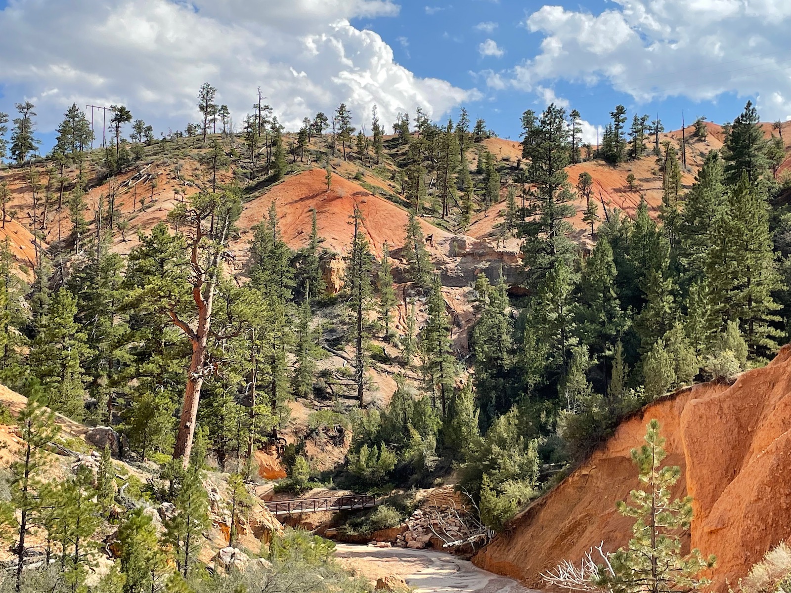 Mossy Cave Trail - Bryce Canyon