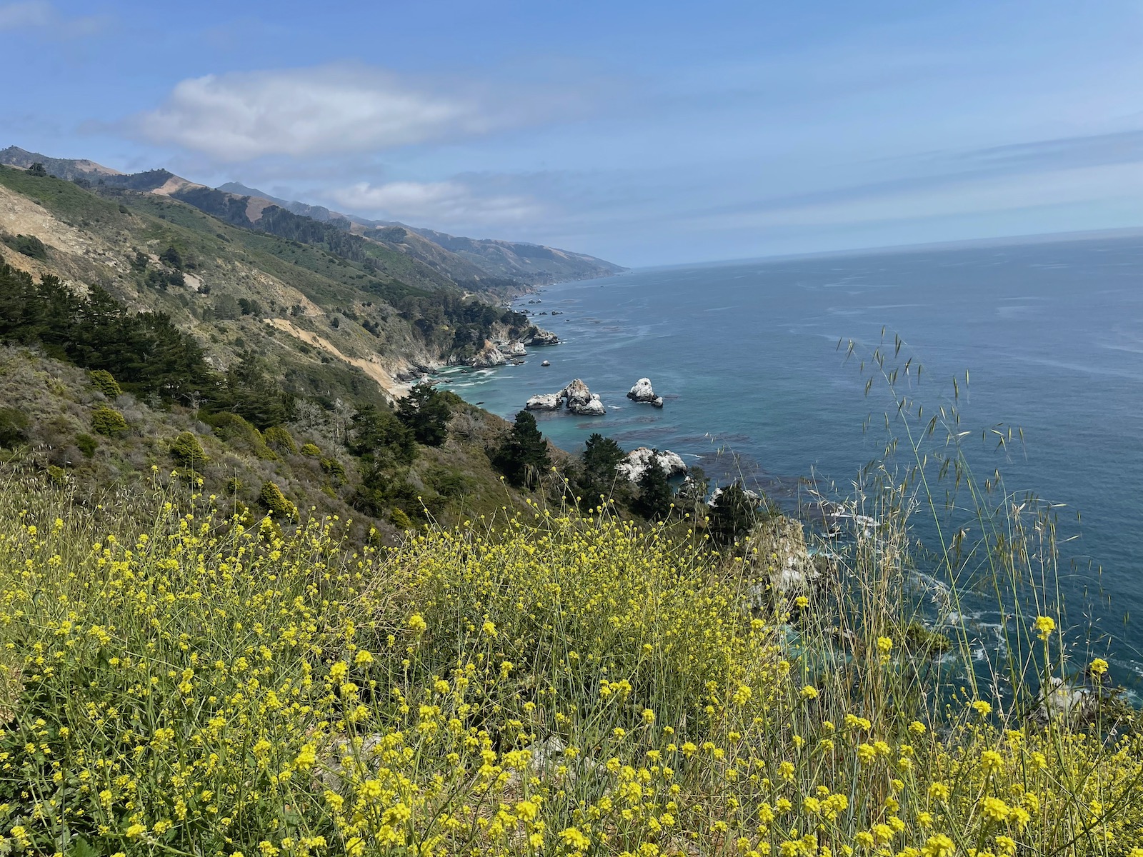 Stunning Perspectives - Scenic Highway 1 in California
