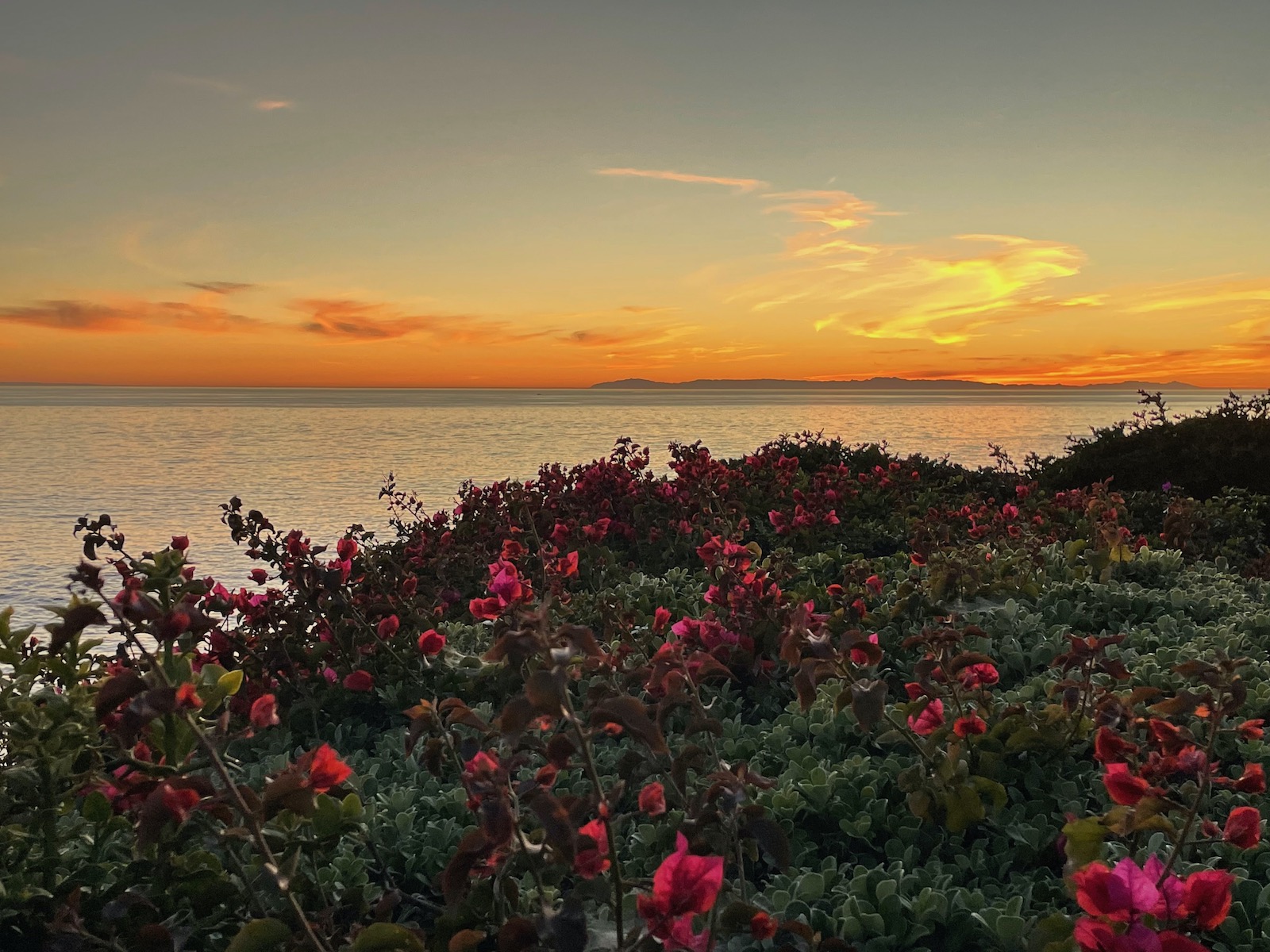 Colors on Horizon after Sunset -1