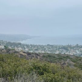 Soothing Morning: Hiking in Crystal Cove State Park