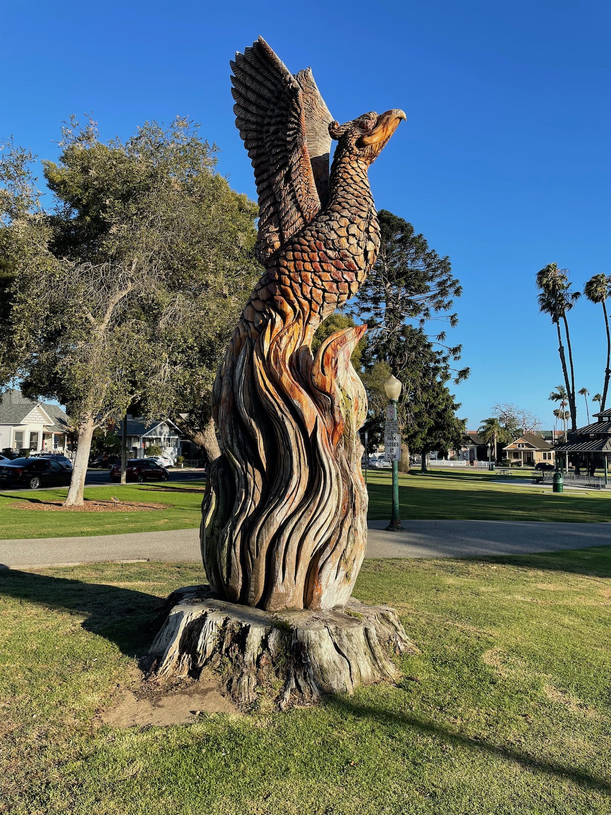 Ventura downtown - tree scuplture