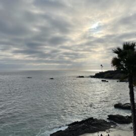 Laguna Beach: Vibrant Silver and Grey