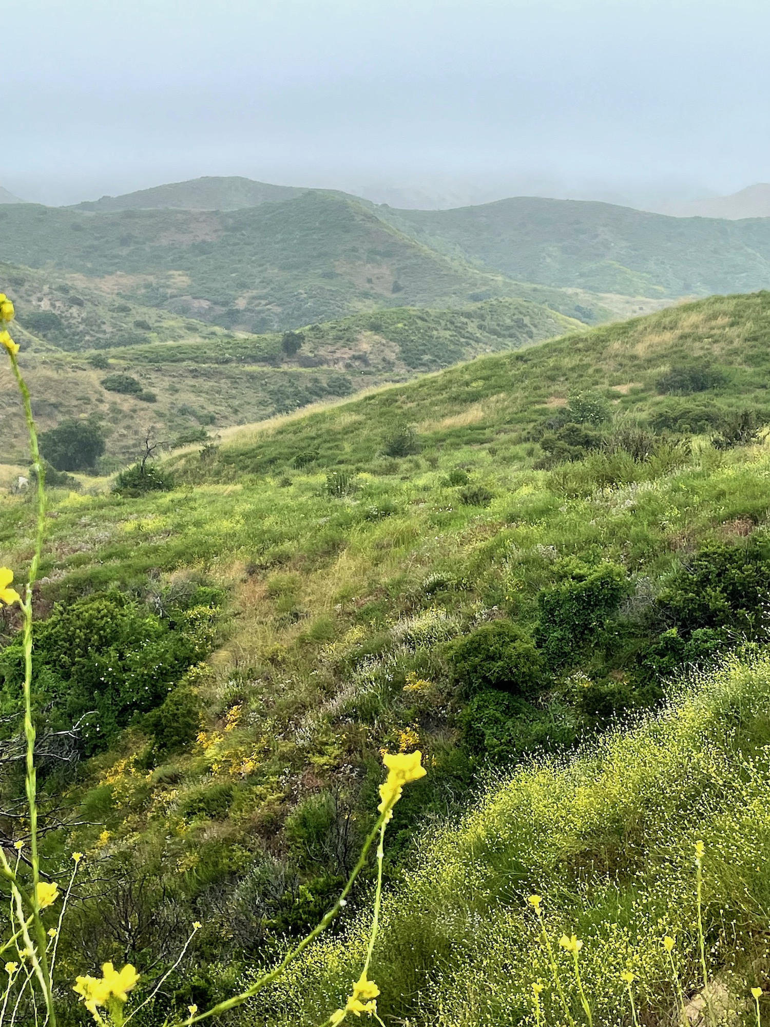 Green and Yellow Mountains - Weir Canyon Loop - May 16 2023 -5