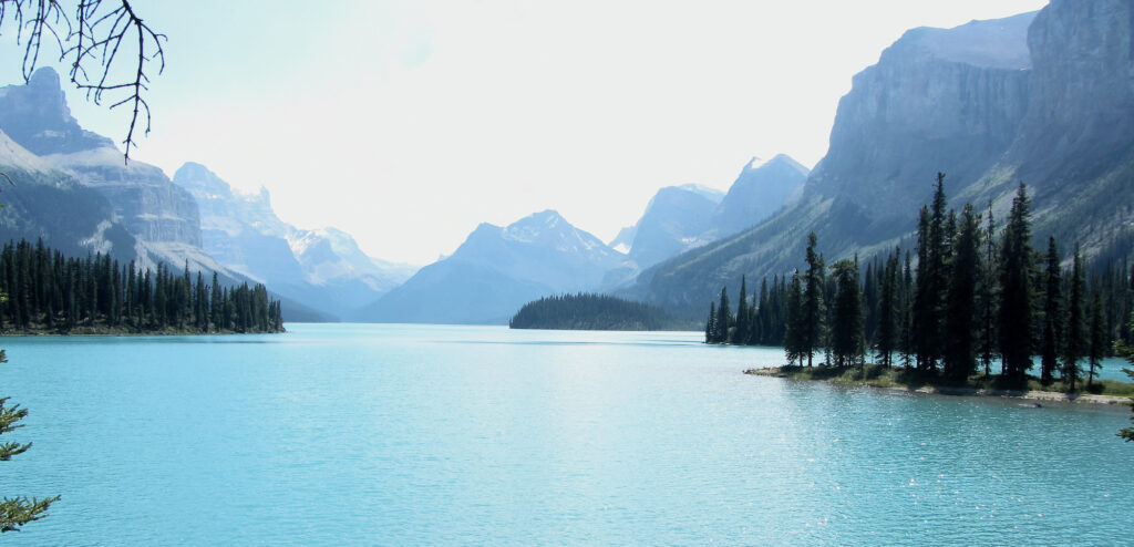 My intent to forgive - spirit island - jasper -1