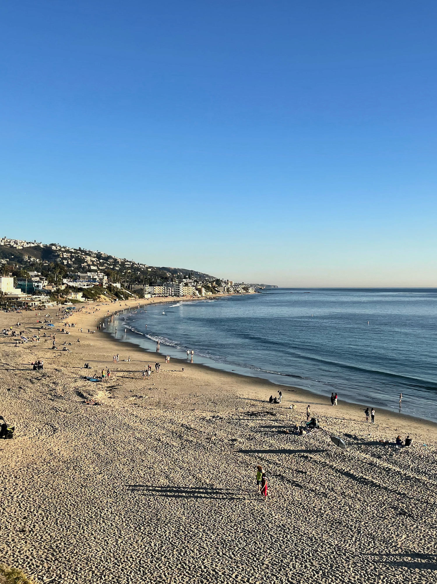 Laguna Beach - Collective Synergies and Conscience