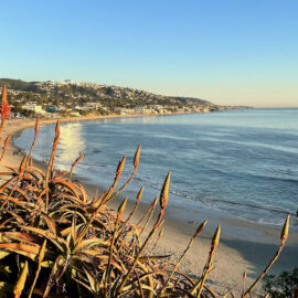 Laguna Beach: Collective Synergies and Conscience
