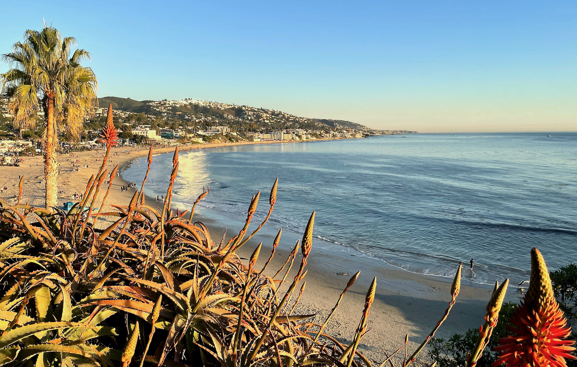 Laguna Beach - Vantage from Elevation