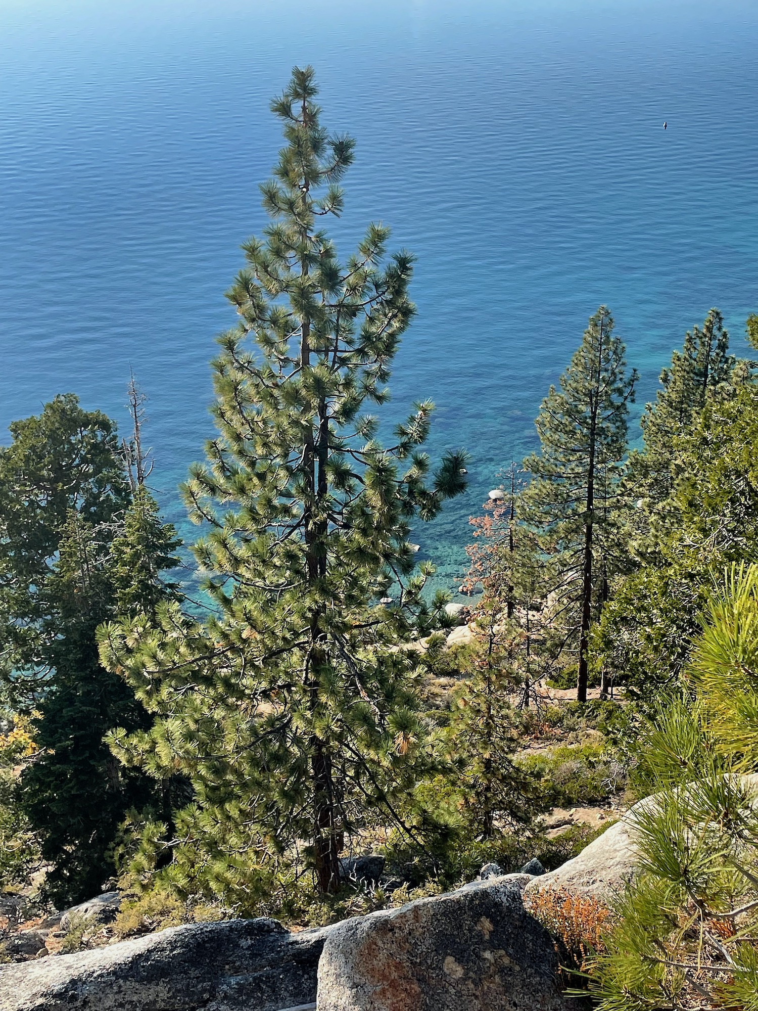 Lake Tahoe - Relaxing Ripples -6