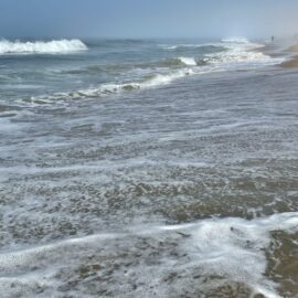 Pacific Ocean: Abundant Cauldron of Mother Nature