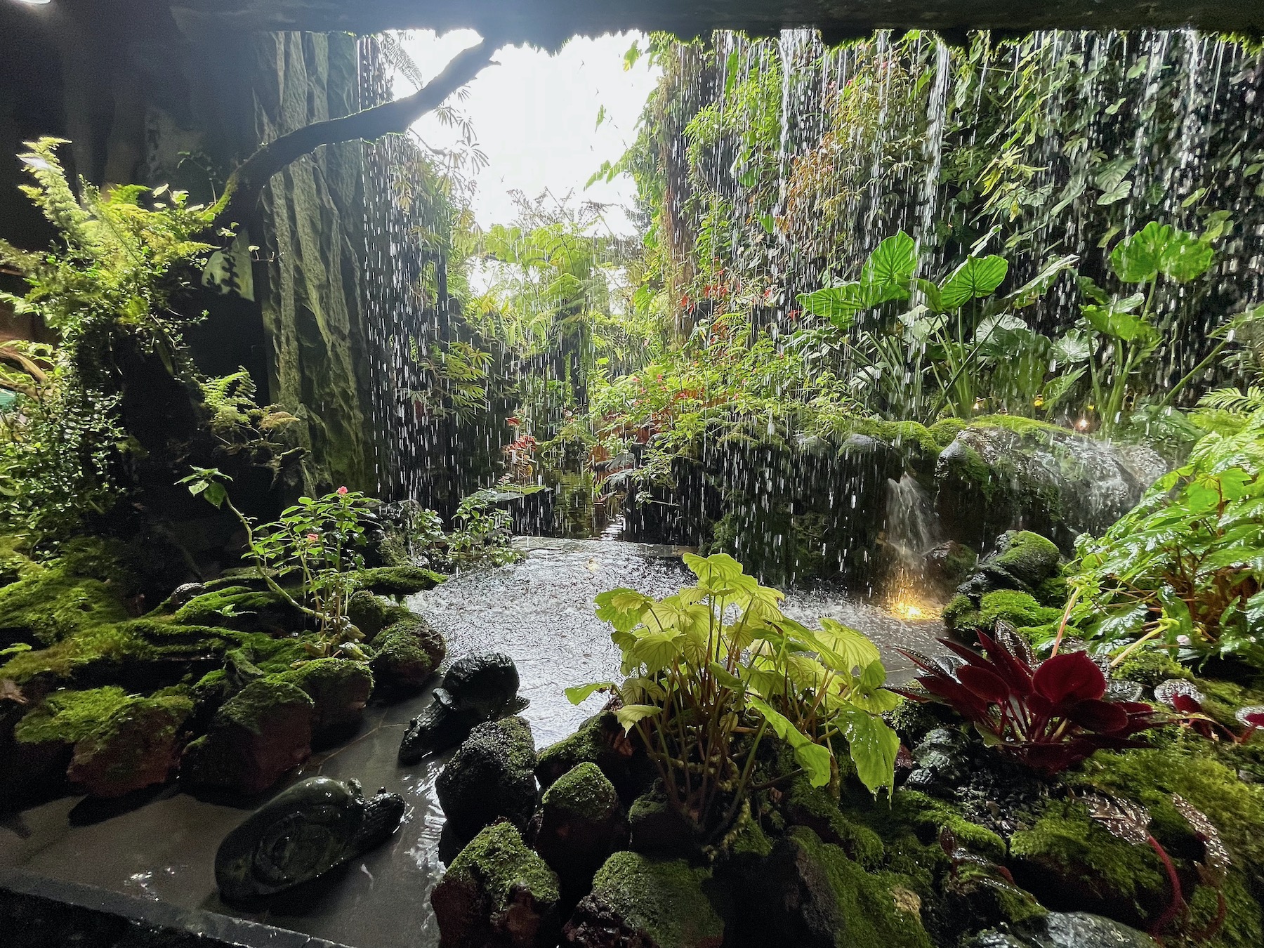 Incredible Tropical Forest and Waterfalls Effect inside Cloud Forest Botanical Conservatory - Gardens by the Bay, Singapore