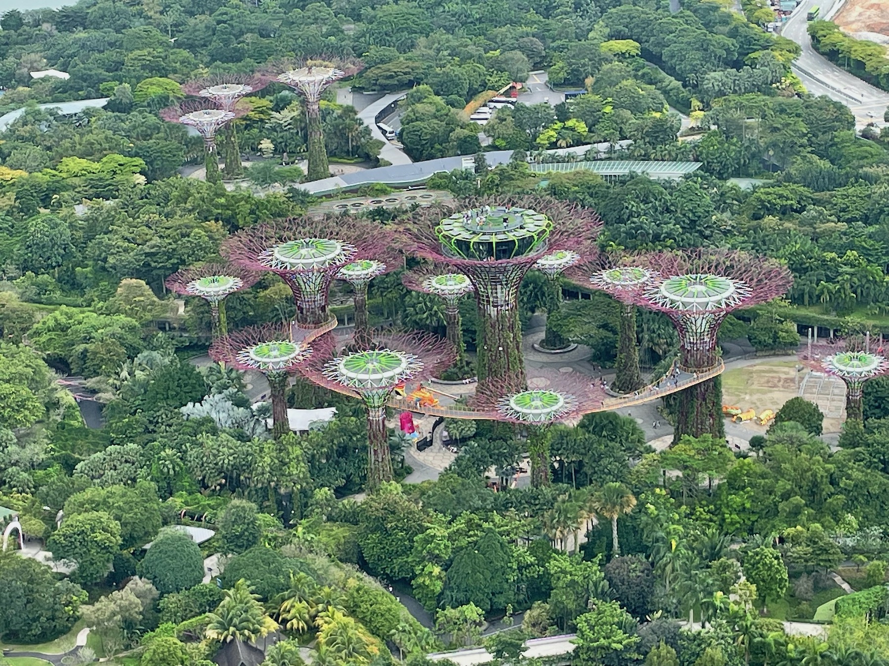 Supertrees Grove - Singapore - Gardens by the Bay