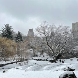 White Central Park: Mother Nature’s Warm Hug