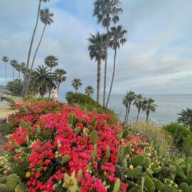 Laguna Beach: Landscape Frames Ocean Views