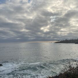Flow and Harmony: Laguna Beach