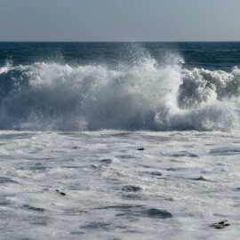 Clarify Mind: 1 of 12: Wonder and Lightness of a Beginner