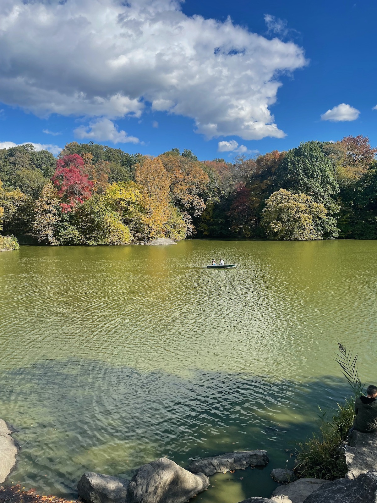 Fall has arrived in New York, too.