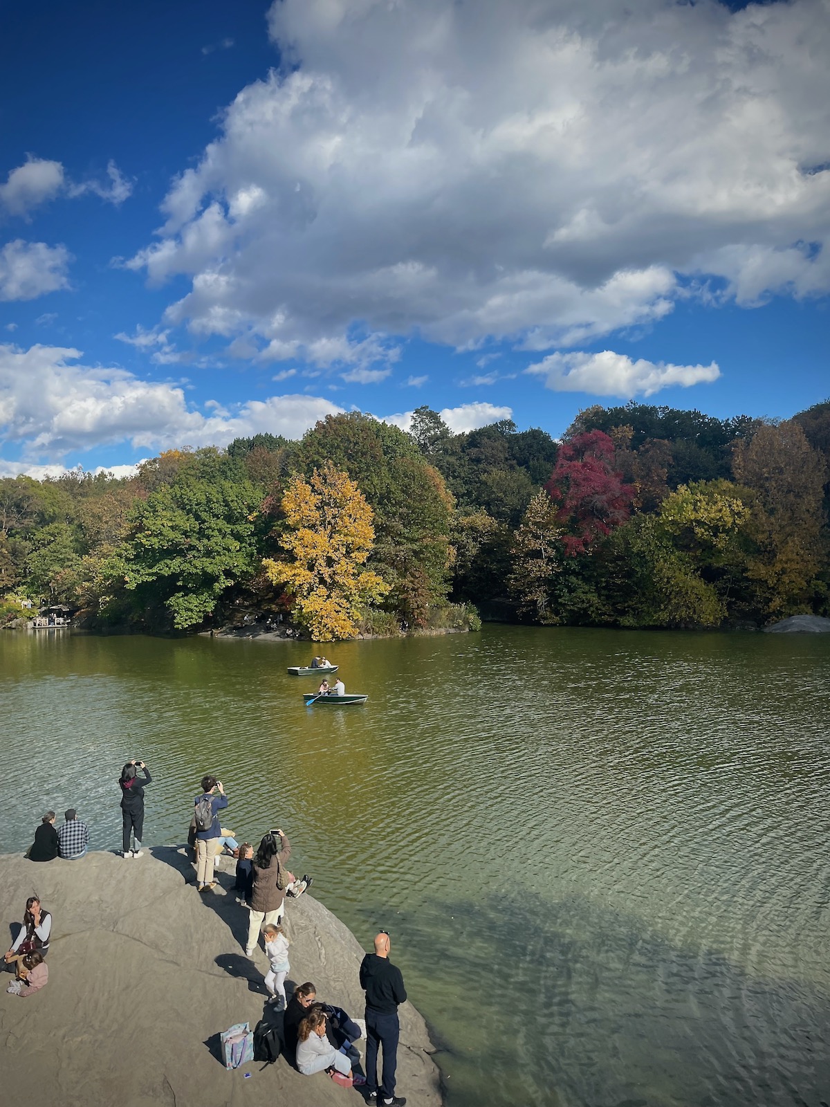 Central Park in NYC – am I back in nature?