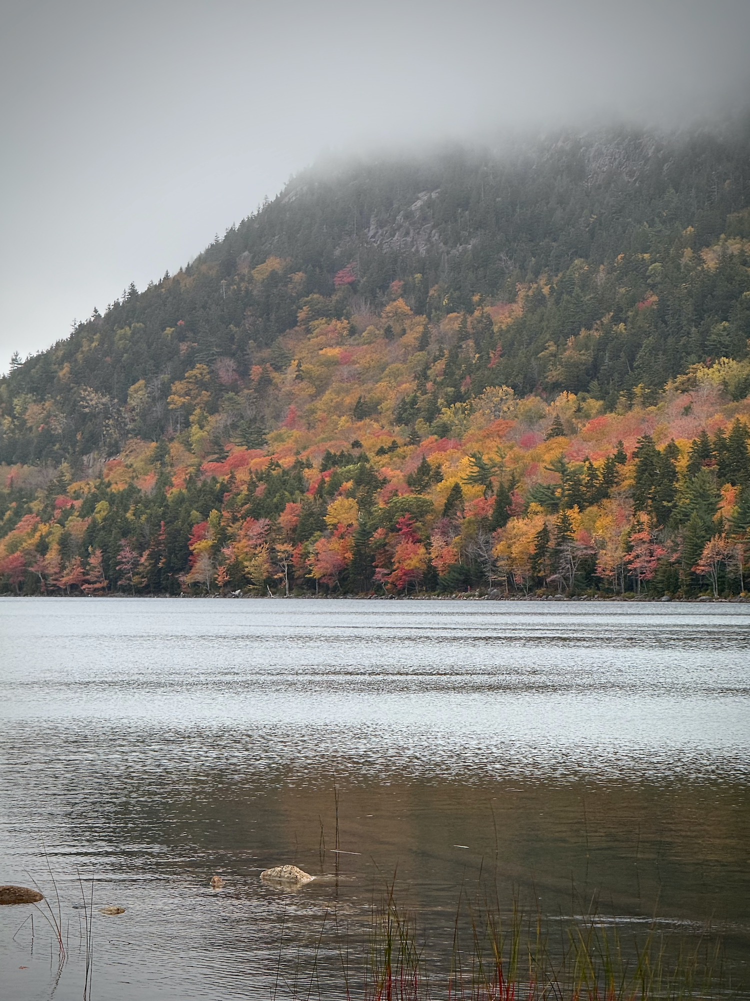 Colorful mountain hugged by the fog and clouds