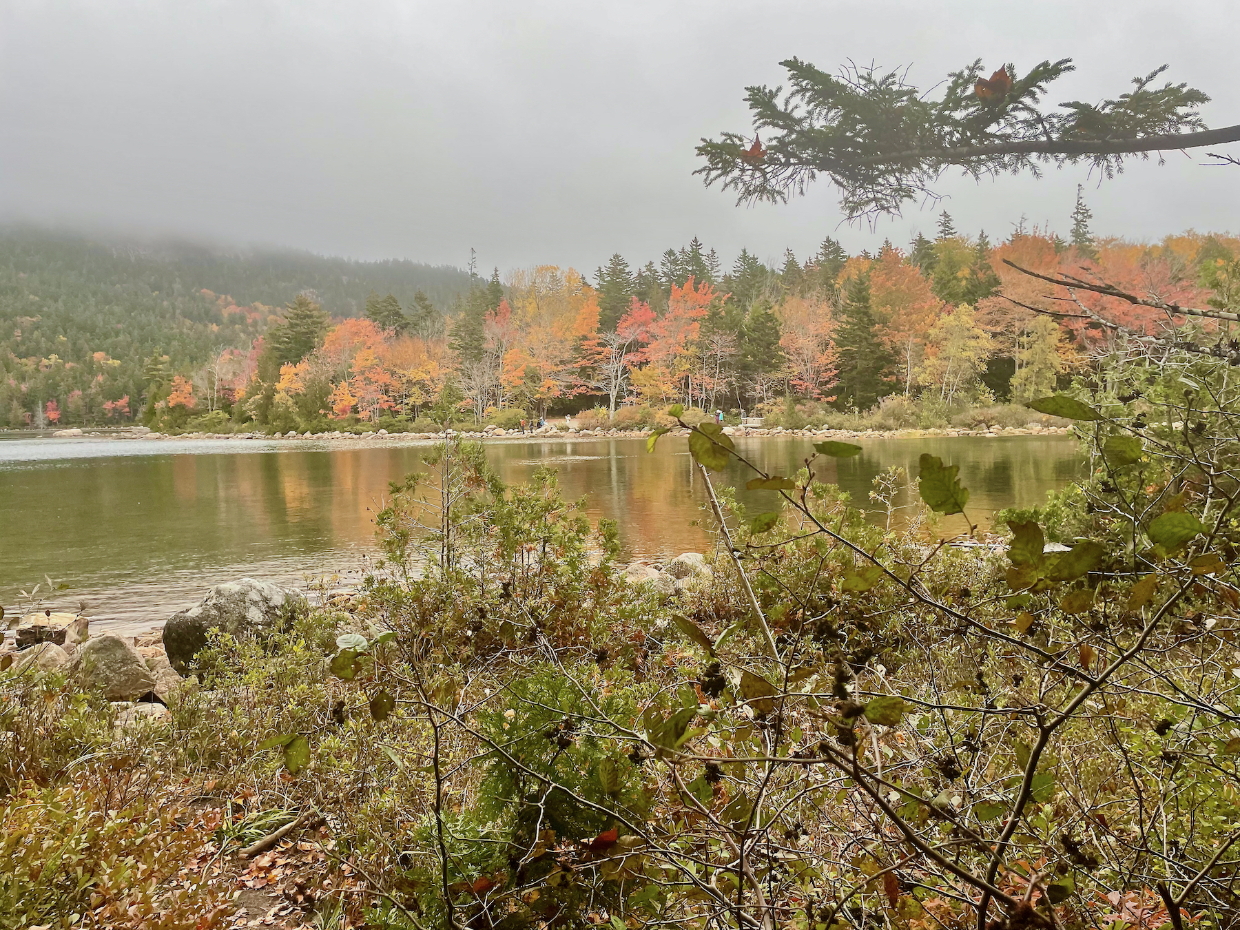 Jordon Pond at Acadia National Park
