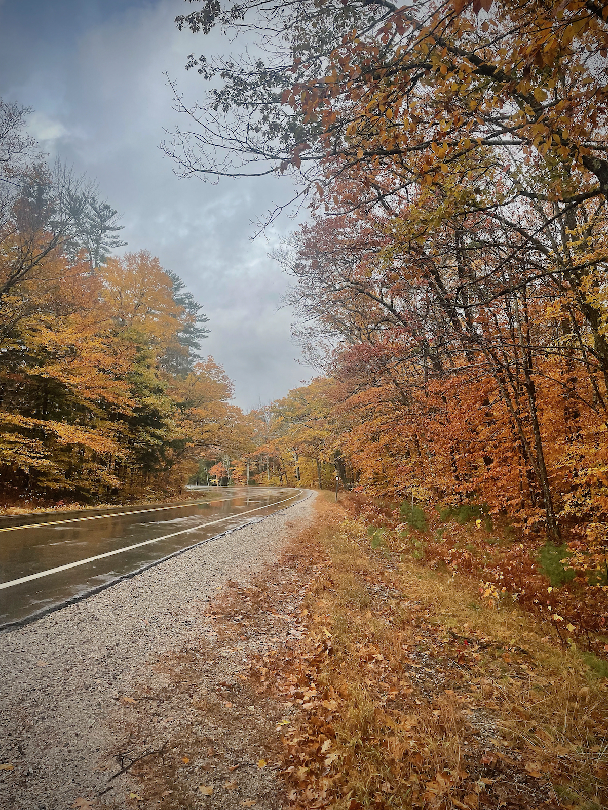 New England Fall Colors on a Rainy Day -1