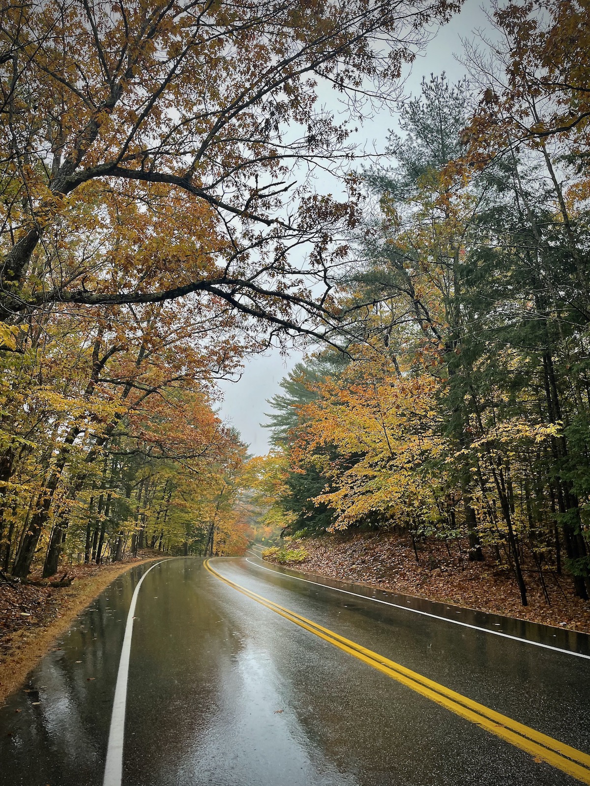 New England Fall Colors on a Rainy Day -2