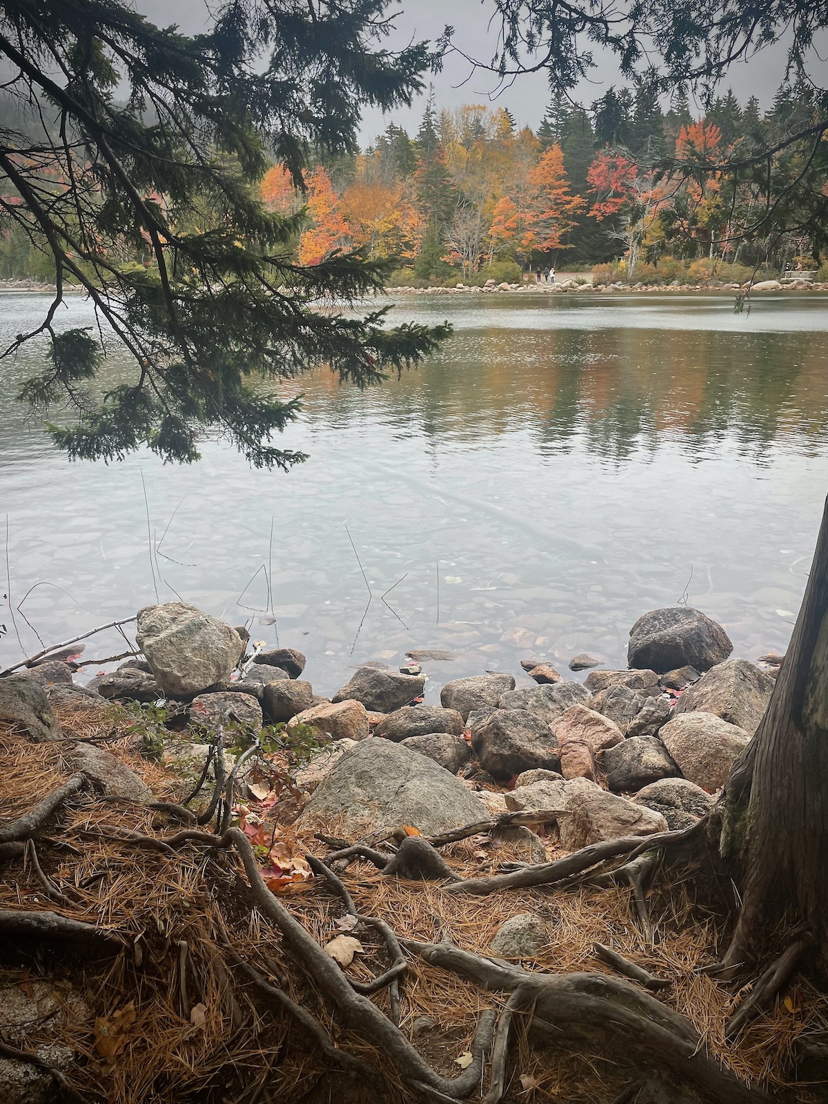New England Fall Foliage -1