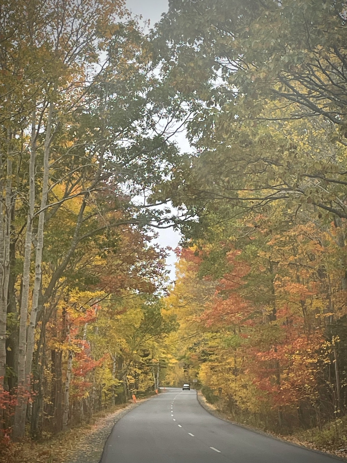 New England Fall Foliage